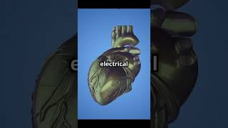 Why your heart beats outside your body shorts viralvideo heart heartbeat selfcare facts [upl. by Edmond737]