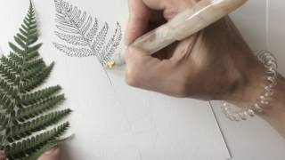 Botanical illustration of a fern [upl. by Vevay]