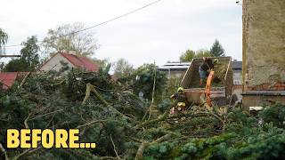 CLEANING up BRANCHE after a FALLER TREE during FLOOD [upl. by Aivlys359]