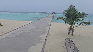 Maldives Rain Forest Canopy Walk  Hondaafushi Island Resort [upl. by Jansen622]