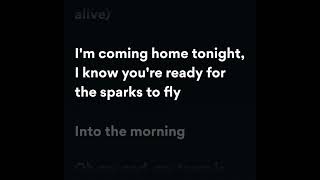 Sheppard  Coming Home Lyrics [upl. by Yendroc88]