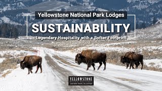 Yellowstone National Park Lodges Sustainability Program [upl. by Toffey]