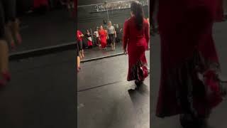 Flamenco master class [upl. by Nnylodnewg191]