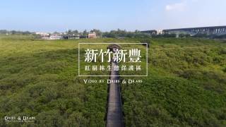 新竹新豐紅樹林生態保護區  空拍影片 [upl. by Yellehs]