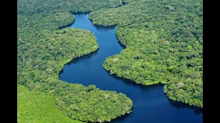 1 Domínios Morfoclimáticos e Biomas Brasileiros Domínio Amazônico [upl. by Rusticus194]