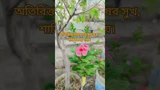 অতিরিক্ত চিন্তা মানুষের সুখ শান্তি কেঁড়ে নেয়। foryou [upl. by Laniger161]