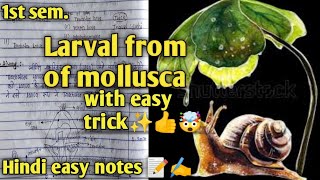 Larval from of mollusca ✍️✨📝msc Zoology 1st semester hindi easy notes with easy tricks 😀🤯👍✨🔥🔥🔥 [upl. by Quickel]