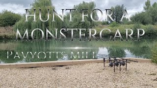 Hunting Monster Carp  Pavyotts Mill Fishery [upl. by Edgerton]