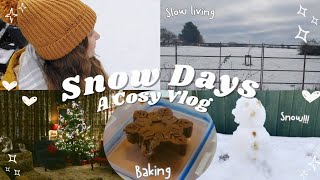 IT SNOWED ❄️ Cosy Baking Snow Drives amp Slow Living in the Snowy English Countryside ☃️ [upl. by Waterer460]