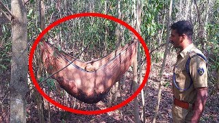 Top 5 Creepiest Things Found In The Woods [upl. by Llovera871]