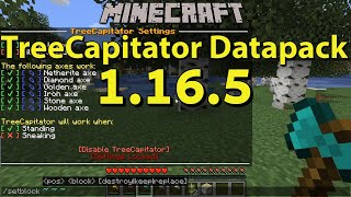 TreeCapitator Datapack 1165 for Minecraft Spotlight  Download Installation and Gameplay [upl. by Dhiman]