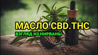 МАСЛО CBD THC Мнение Высших [upl. by Ecertak137]