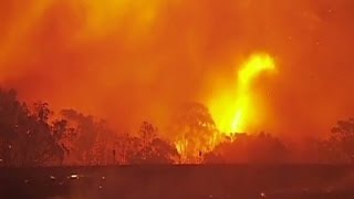 Bushfires raging in Australia [upl. by Atikal]