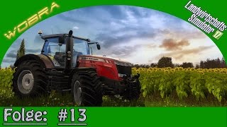 LandwirtschaftsSimulator 17 13 Das Feld mit Gras sähen ► Lets Play 60FPS Deutsch [upl. by Anierdna]