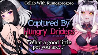 Hungry Drider Mommies Keep You As Pet Dom Personal Attention  Monster Girl ASMR Roleplay FF4A [upl. by Anyar]