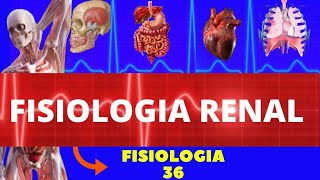 INTRODUÇÃO À FISIOLOGIA RENAL FISIOLOGIA HUMANA  SISTEMA EXCRETOR URINÁRIO  FISIOLOGIA GUYTON [upl. by Redwine6]