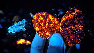 Incredible GLOWING Yooperlite Rocks BLUE Crystals Garnets and MORE Found in Michigan [upl. by Aisset]