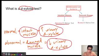 DXylose test [upl. by Odrareve537]