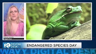 Learning about Endangered Species at the Virginia Aquarium [upl. by Obrien]