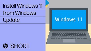 Install Windows 11 from Windows Update in Windows 10  HP Support [upl. by Cut]