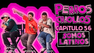 PERROS CRIOLLOS  SOMOS LATINOS CAP 56 [upl. by Renado]