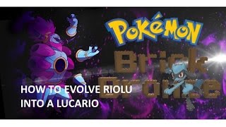 How to evolve Riolu in Pokemon Brick Bronze READ DESC [upl. by Nwahsek979]