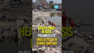 Health Crisis In Gaza Poliomyelitis Virus Detected In Sewage Amid War [upl. by Eidua]