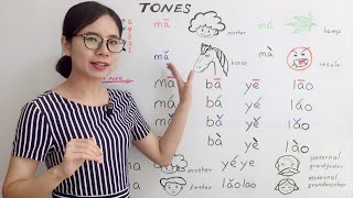 The Tones in Mandarin Chinese  Beginner Lesson 2  HSK 1 [upl. by Atnoved]