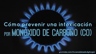 Cómo prevenir una intoxicación por monóxido de carbono CO [upl. by Necila938]