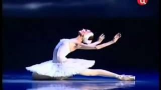 Svetlana Zakharova em A morte do Cisne  Lago dos Cisnes [upl. by Saxet]