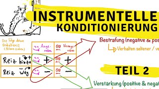 Instrumentelle Konditionierung Teil2 Bestrafung und Verstärkung [upl. by Ilahtan]