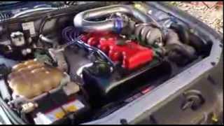 TI Performance Supercharged EF Falcon idling [upl. by Rratsal]