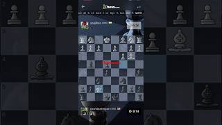 checkmate learn how play chess online gaming like shorts viralvideo status share reels [upl. by Annairb182]