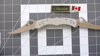 Spyderco Dyad Plain amp Serrated Overview [upl. by Ray]