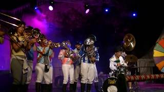 Les Taupes Modèles au Concours International de Fanfares 2013 Nîmes quotZombiequot [upl. by Davies731]