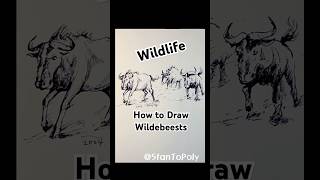 How to Draw Wildebeest drawing sketch animaldrawing wildart wildebeest short [upl. by Cyn]