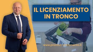 Il Licenziamento in Tronco è sempre applicabile [upl. by Yelkrab]