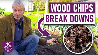 Unlocking the Potential of Wood Chips 5 Creative Ways to Put Them to Use [upl. by Sheeb405]