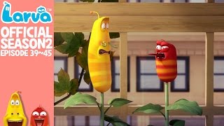 Official LARVA Season 2 Episode 39  45 [upl. by Eeram]