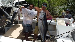 Fishing Tuna and Marlin fishing newcaledonia tuna marlin [upl. by Oribel]