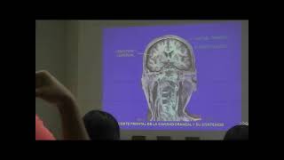 2da clase corteza cerebral 2  San Marcos  Neuroanatomía fácil [upl. by Gimpel]