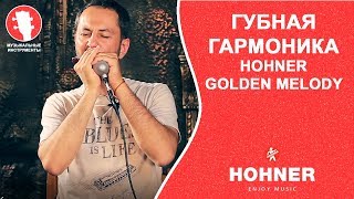 Обзор губной гармоники HOHNER GOLDEN MELODY [upl. by Burkhart]