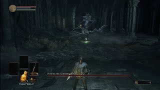 DS3  Oceiros  SL1No RollingRingsBlockingParrying [upl. by Nnylylloh]