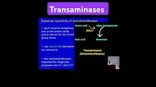 Transaminases Aminotransferases  Metabolism Made Easy [upl. by Idnir]