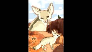 Fennec Fox male I need name suggestions [upl. by Marion34]