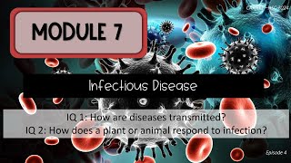 Module 7 Episode 4  Diseases in Agriculture and Australian Plants [upl. by Akehsay527]