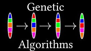 How algorithms evolve Genetic Algorithms [upl. by Gadmann749]