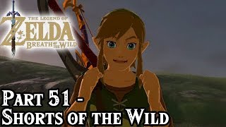 Breath of the Wild Part 51  Shorts of the Wild  TheStrawhatNO Lets Plays [upl. by Coralyn975]