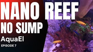 Nano Reef AquaEl Episode 7 [upl. by Desai523]