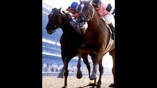 AFFIRMED VS ALYDAR The Triple Crown [upl. by Tressia]